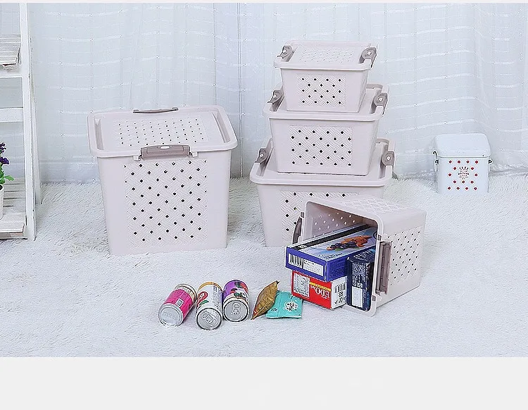 Eco-friendly PP Picnic Plastic Living Storage Box Basket with Lid Animal Transport Storage Package Basket