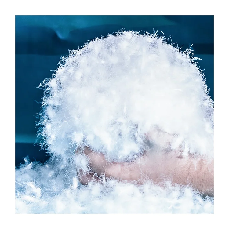 China Made Cheap Price Power Clothes 95% High Filling  Washed Pure White Goose Down