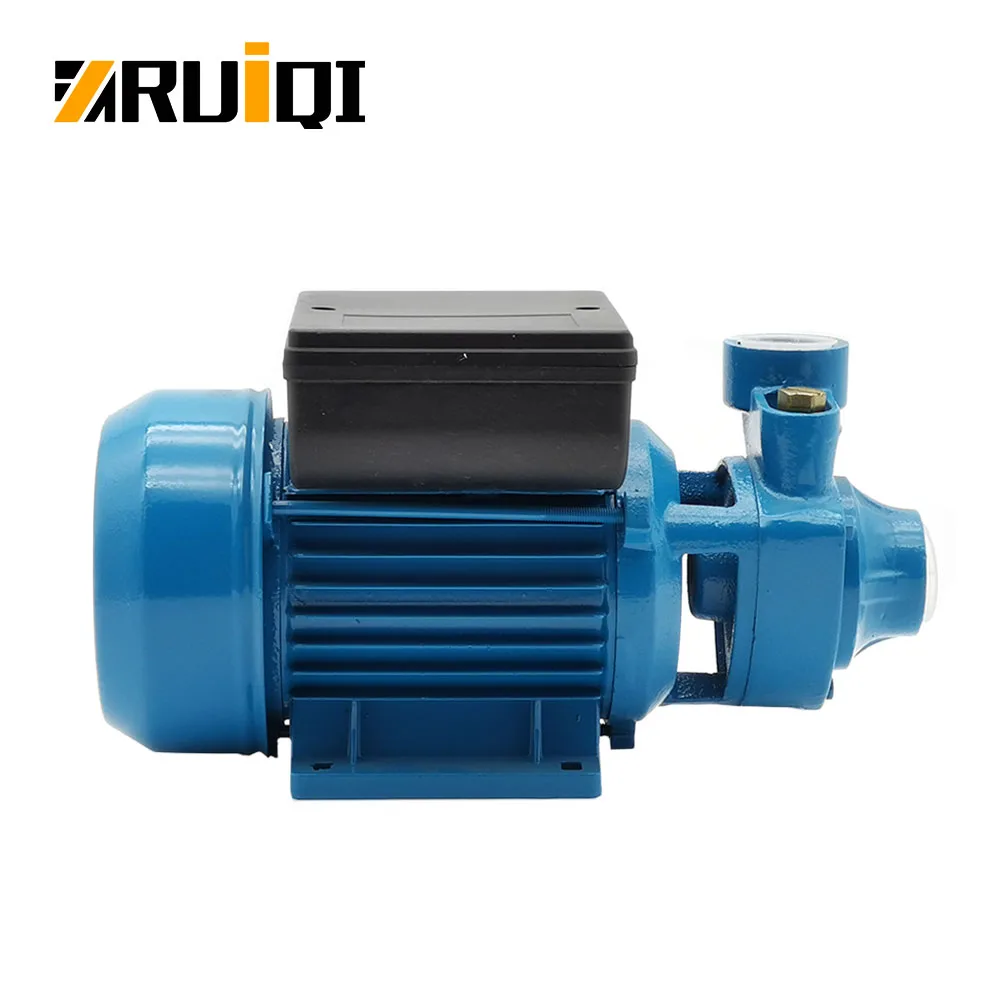 RUIQI IDB40 Water Pump 1/2HP High Flow/Head Pompa OEM Factory Price Peripheral Water Pump For House Bombas Pompe bomba de agua