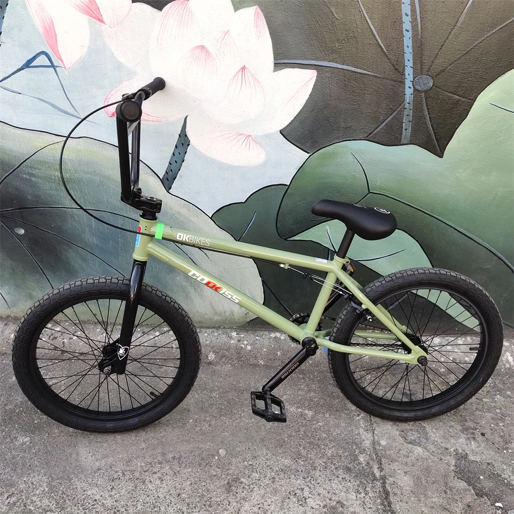 20 inch customized BMX