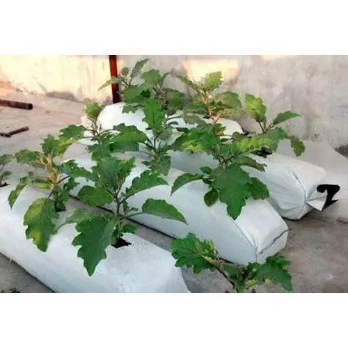 BRICKS FOR HEALTH PLANTS AND FLOWERS PERFECT CHOICE OF HYDROPONICS AGRICULTURE FROM INDONESIA IS COCOPEAT CHIP GROW BAG PRESSED