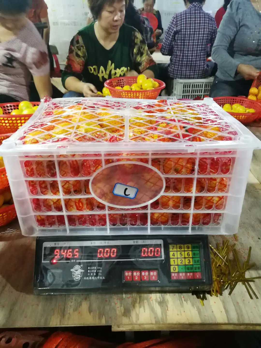 Chinese Fresh New Crop Baby madarine orange