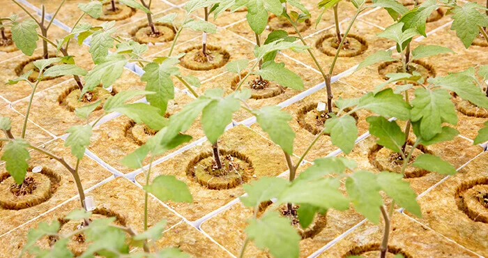 UPuper дешевые Гидропонные фермерские системы для выращивания гидропонных изделий из минеральной