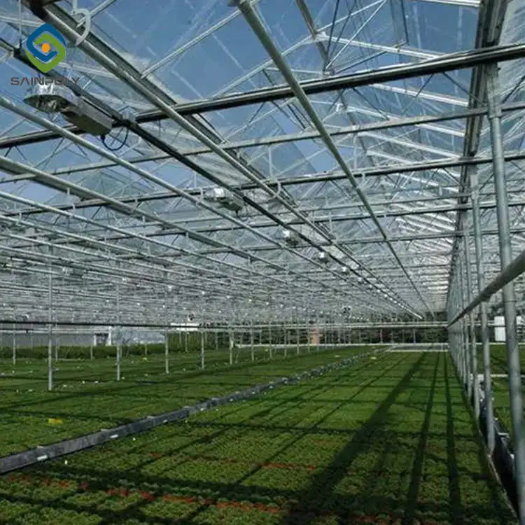 Hot Selling Large Size Sainpoly China Wholesale Glass Multi-Span Greenhouse High Quality and Affordable