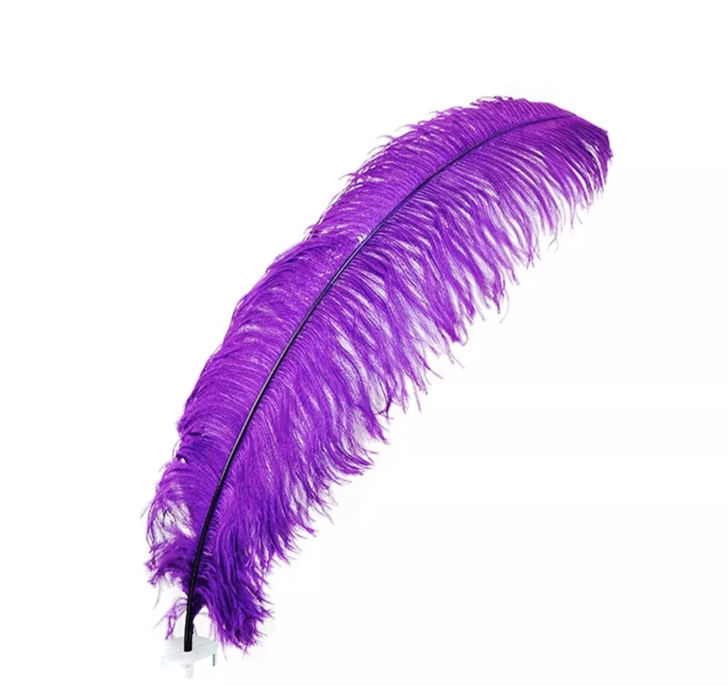 L-ft Wholesale 45-50Cm Real Large Ostrich Feather Home Wedding Wall Decorative White Pink Purple Blue Ostrich Feathers For Sale