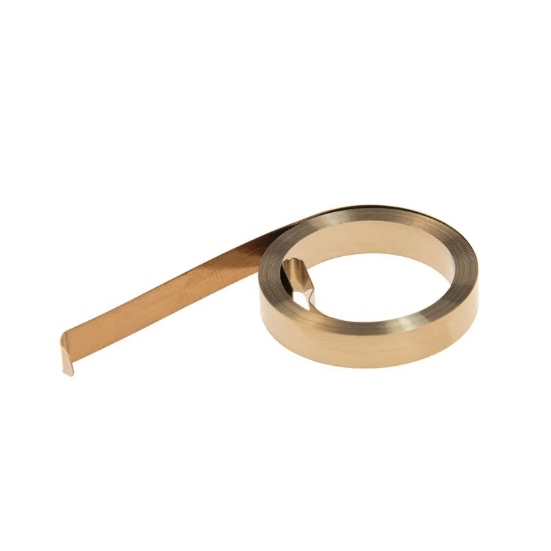 Manufacturer Starter Extension Large Spiral Stainless Steel Dog Leash Curtain cable Clock Power Spring Flat Spiral Spring