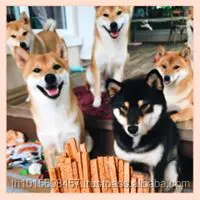 Delicio Dog training treats made with REAL SALMON and CHICKEN LIVER plus DHA and 15 Vitmamins & Minerals for BRAIN DEVELOPMENT