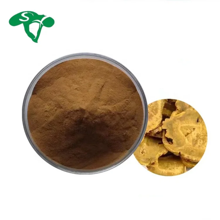 wholesale Rheum Palmatum Root Powder 10:1 Emodin Supplement / Chinese Rhubarb Extract Knotweed emodin  herbal extract