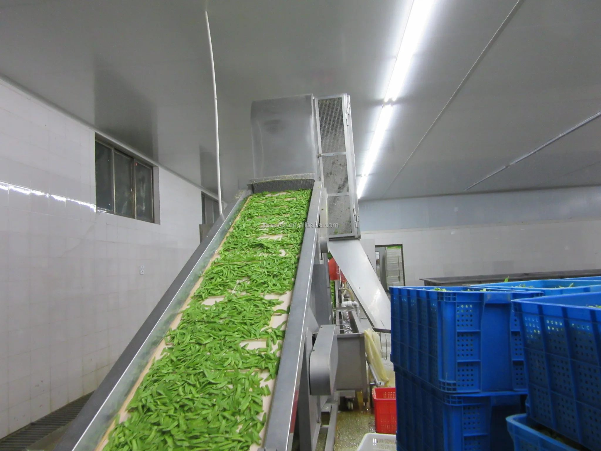Замороженные овощи замороженные peapods Iqf Peapod нового сезона
