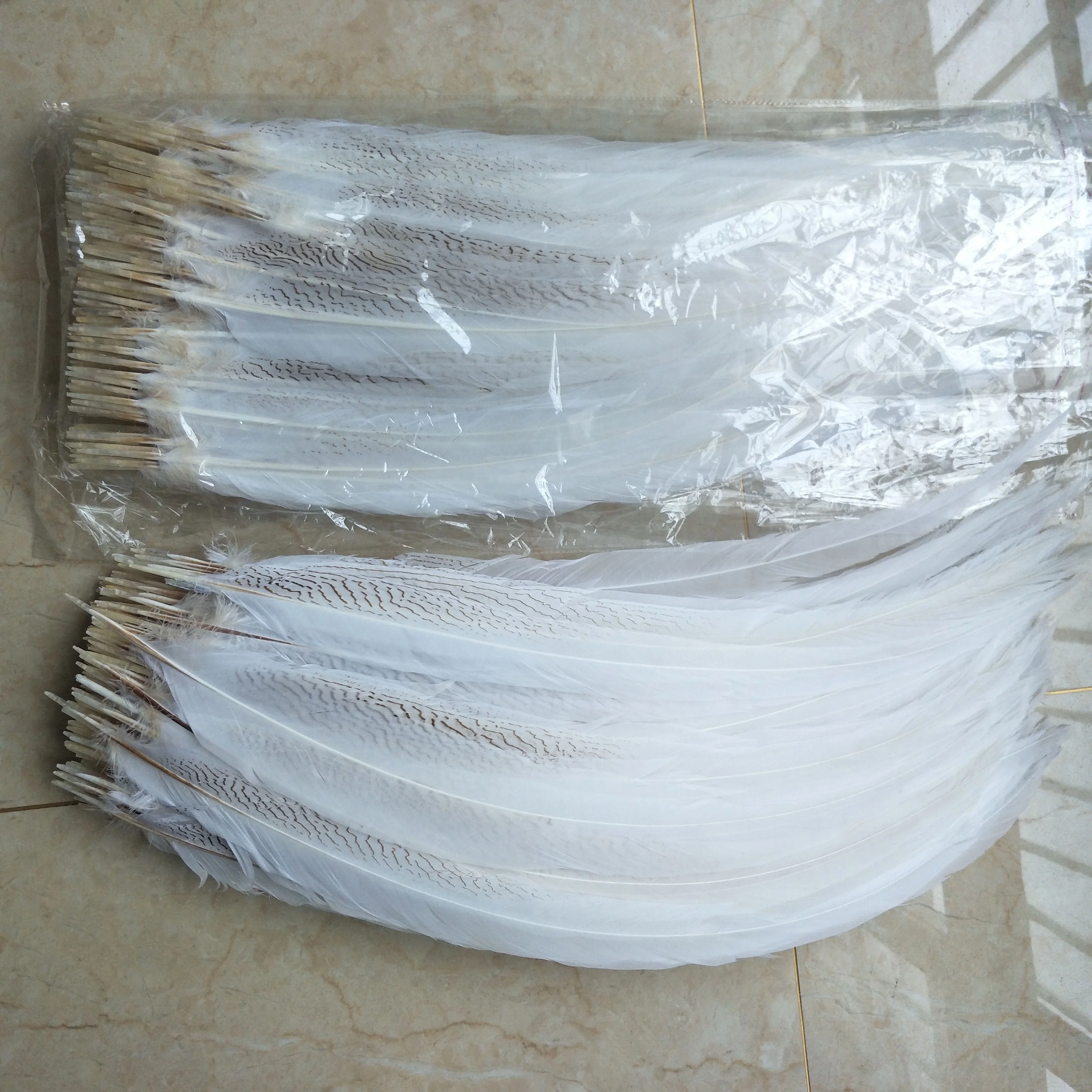 65-70cm Long White Silver Pheasant Tail Ostrich Feather Natural Pattern for Carnival Feather Costumes and Decorations or Crafts