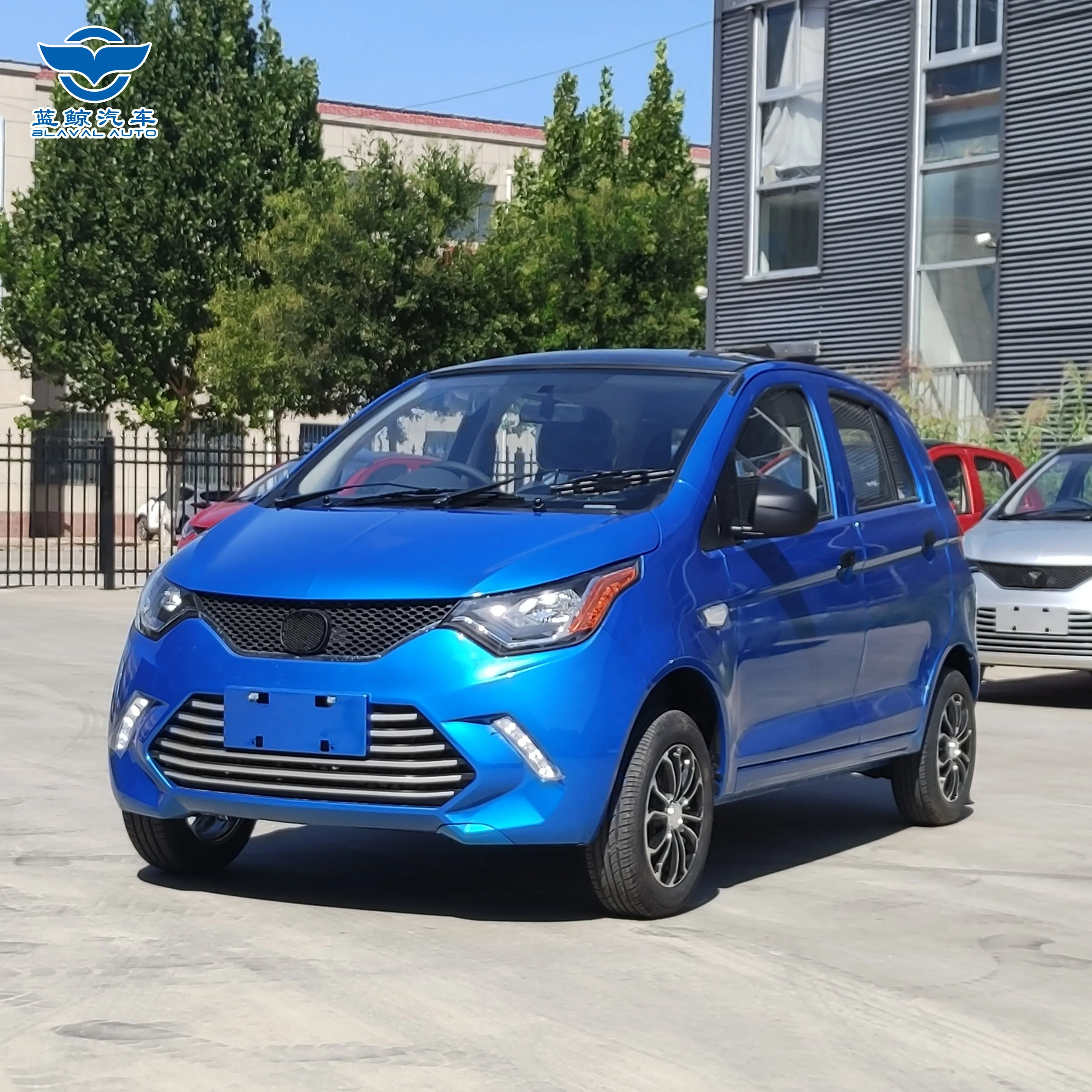 Electric Vehicle Dual Airbag Chinese Enterprise Supports SKD/CKD Adult Electric Vehicles