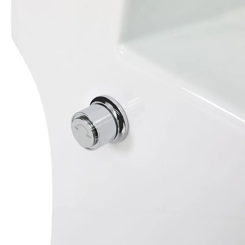 Bidet Toilet Modern Design Bathroom Washdown Rimless One Piece Ceramic UF Material Soft Closing Seat Bidet Wash Floor Mounted