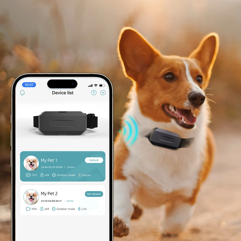 Anti theft Pet Gps Tracker Device Collar Activity Monitor