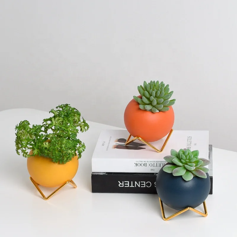 Creative Ceramic Vase Morandi Modern Simple Fleshy Flower Pot Flower Arrangement Green Flower Planter Iron Frame Hydroponic Ball