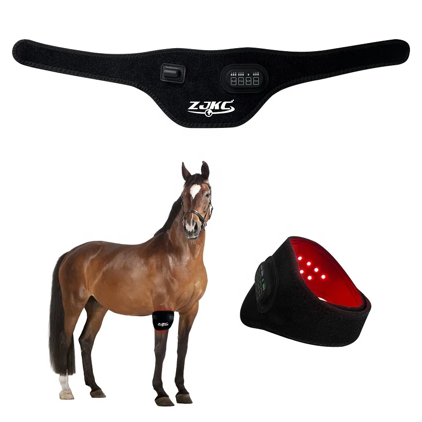 horse red light therapy full body wrap led therapy led therapy machine