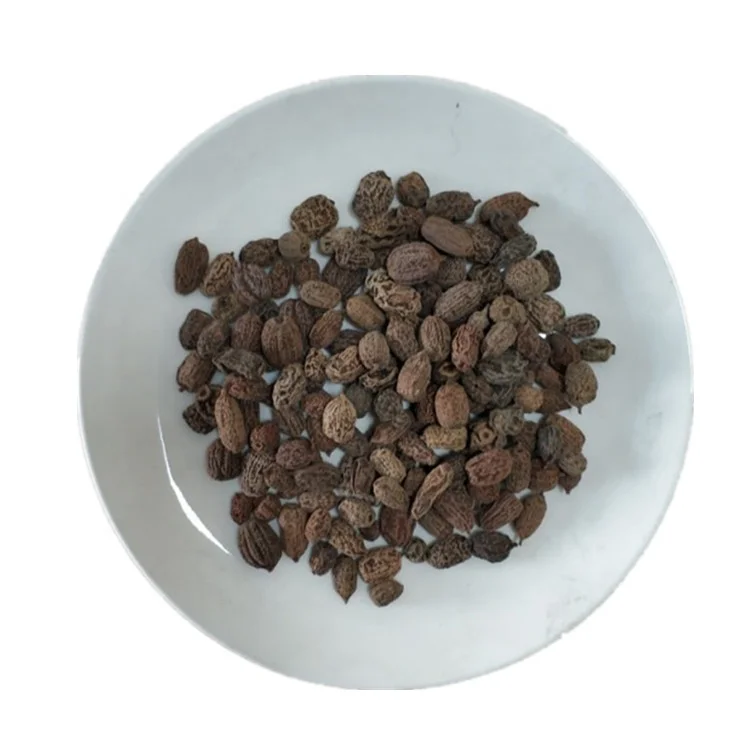 YHC08F Mu Tian Liao Dried Natural Actinidia Polygama Wild Silvervine Fruits No Contains Insect Gall for Cats
