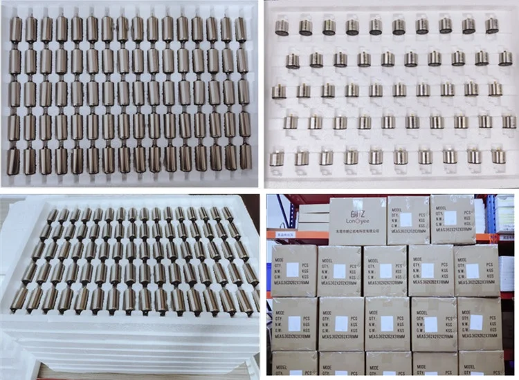 40Mm Dc Brushless Motor 36V For Micro Pumps 32Mm 6000Rpm Coreless Permanent Magnet Brushless Motor