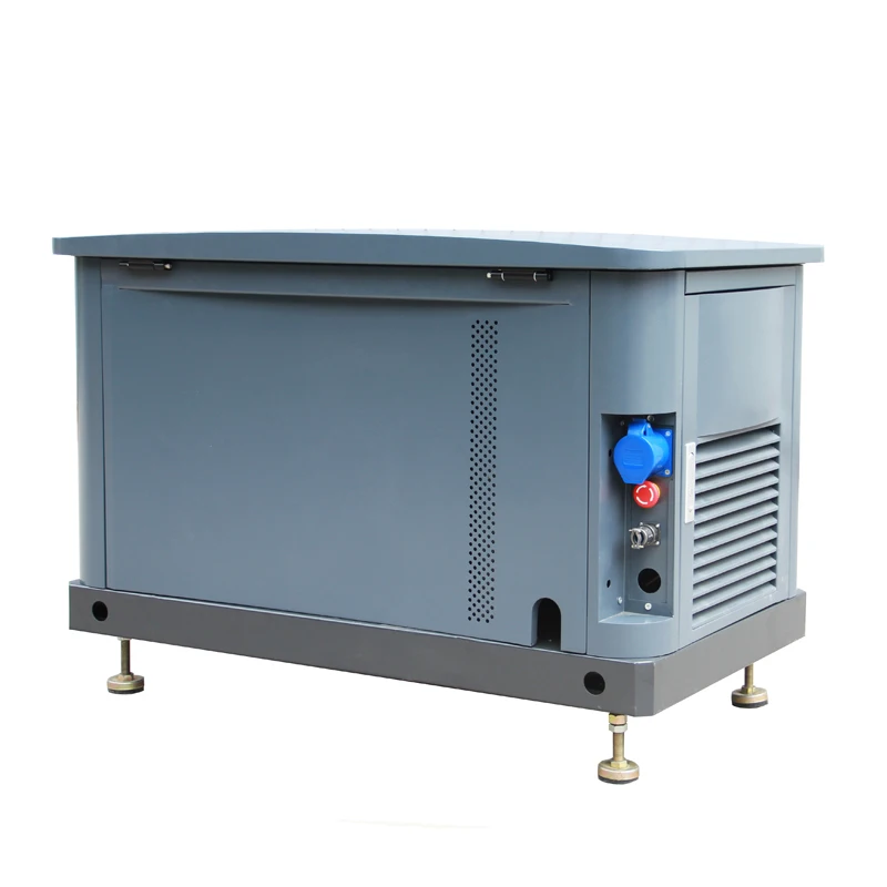 1 3 фазы 9KW 11KVA природного газа генераторная установка с воздушным охлаждением 10KW 12KVA сжиженного
