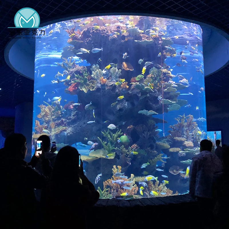 Manufacturer professional promotional modern style tall round acrylic coral fish tank