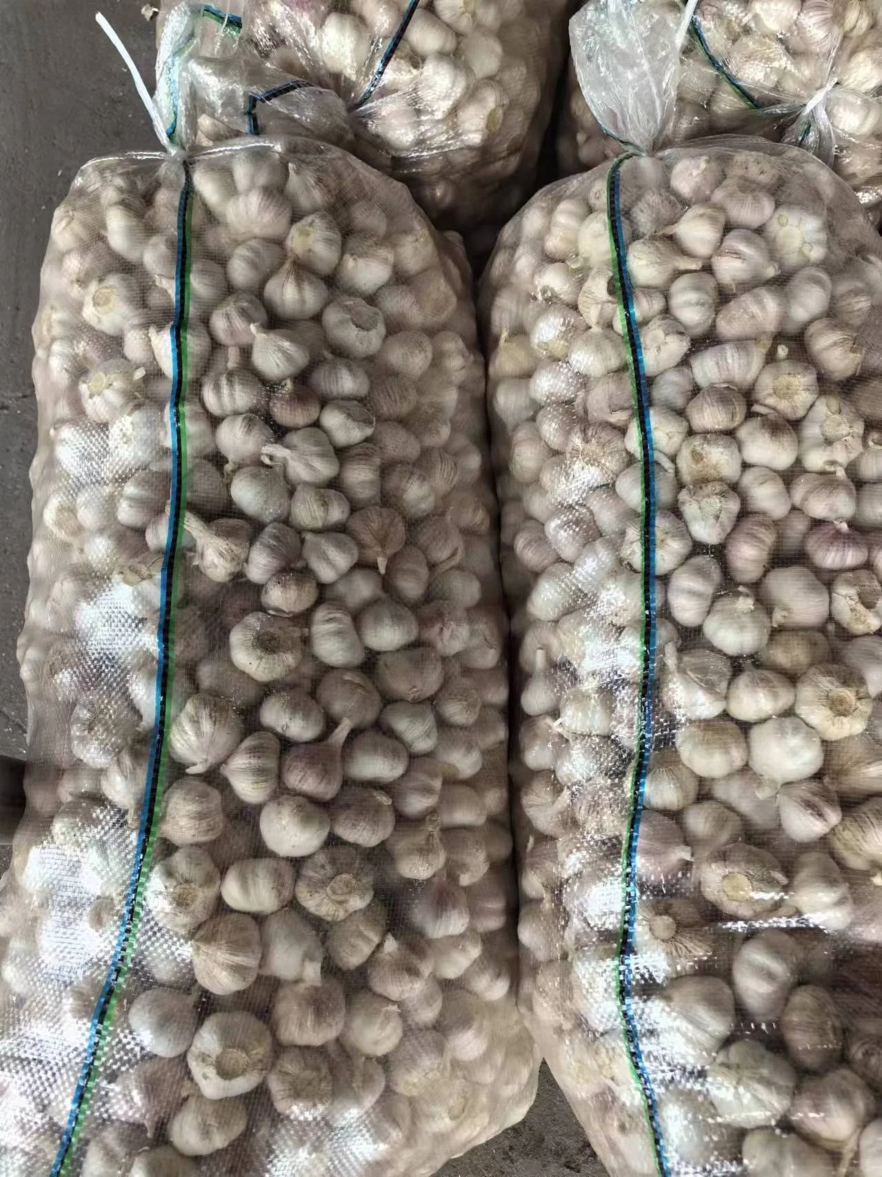 China Shandong factory potato sack custom agriculture vegetable fruit onion carrot potato woven bags with top closing closure
