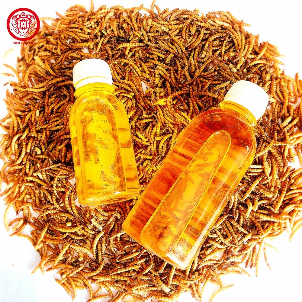 Factory feed additives Pet Food Bird Food Edible Tenebrio Molitor Dried Mealworm