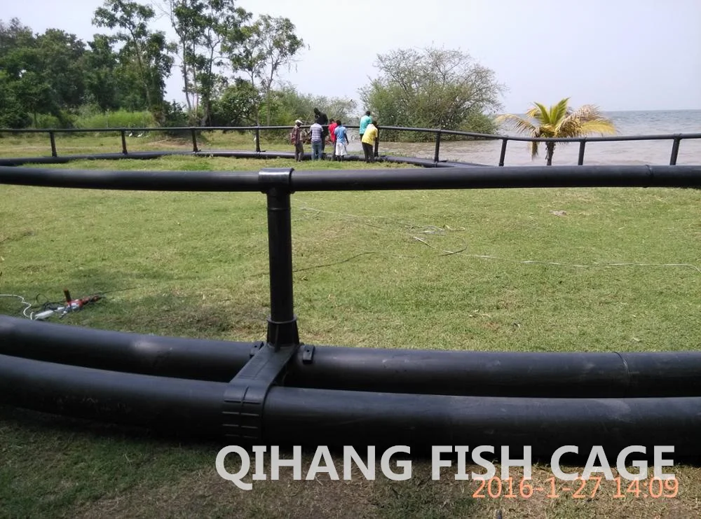 HDPE farm raised sea bass fish farming cage for pisciculture