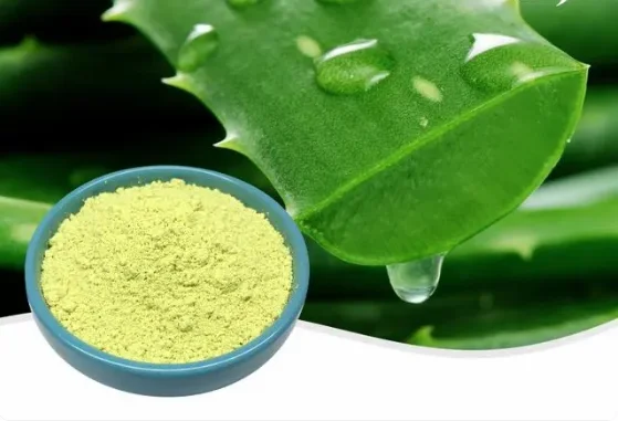 South Africa Skin Conditioner 95%  Aloe Emodin Aloin Aloesin Aloe Vera Gel Africa Cape Aloe Extract  For Beauty