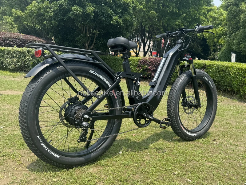dual motor ebike 3.jpg