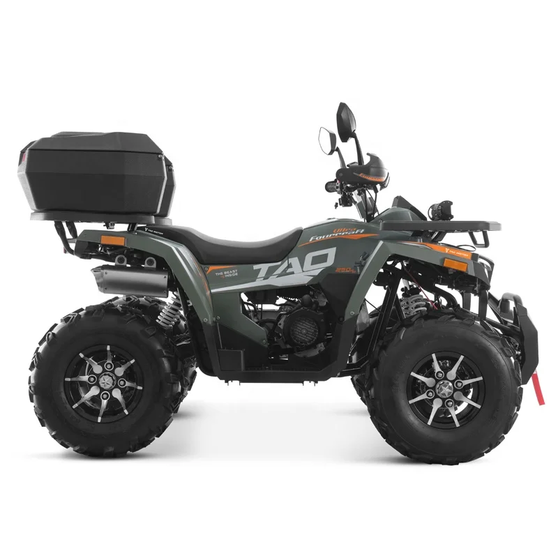 Tao Motor 2024 New side by sides 4x4 quad bike 250cc ATV with CE EPA ECE certificate