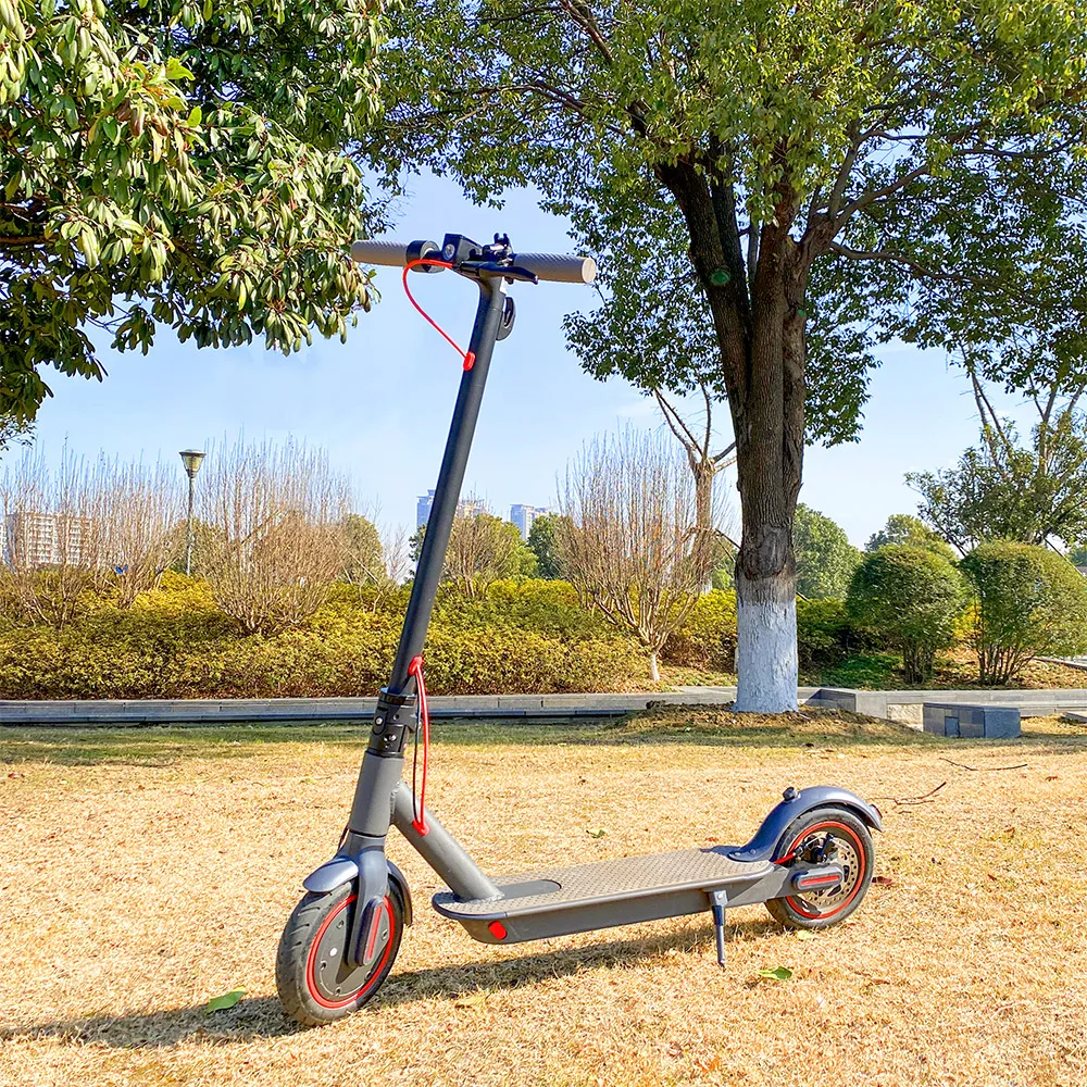 Buy now pay later dropshipping m365 electrique electric scooter 250w 350w 36v escooter