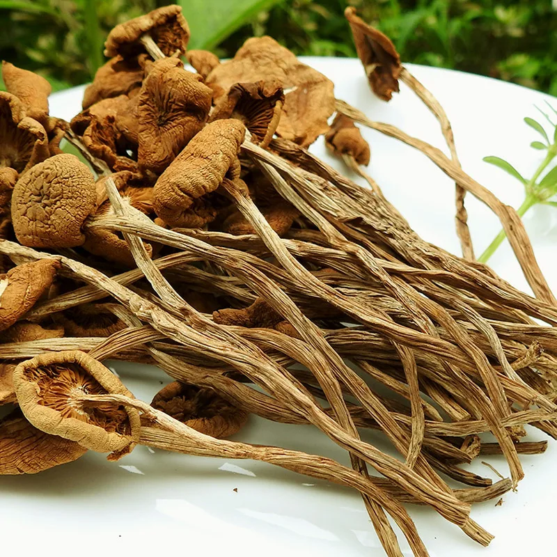 High Quality Dried Agrocybe Cylindracea Healthy Dried Mushrooms