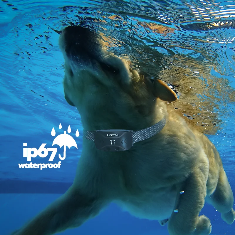 Lifetail Amazon 2022 pet products dog training collar waterproof rechargeable anti barking device trainer for dog