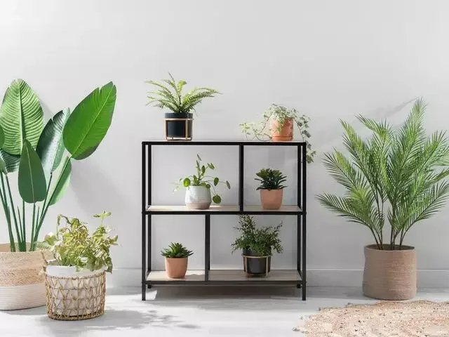 Low Price home office furniture  Cabinet bookshelf wood modern shelves for living room