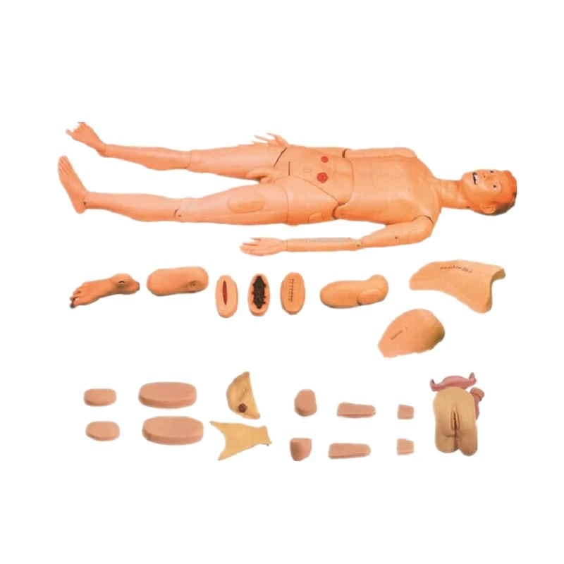 H135 human medical nursing care simulator disassemble full body manikin male dummy model for teaching