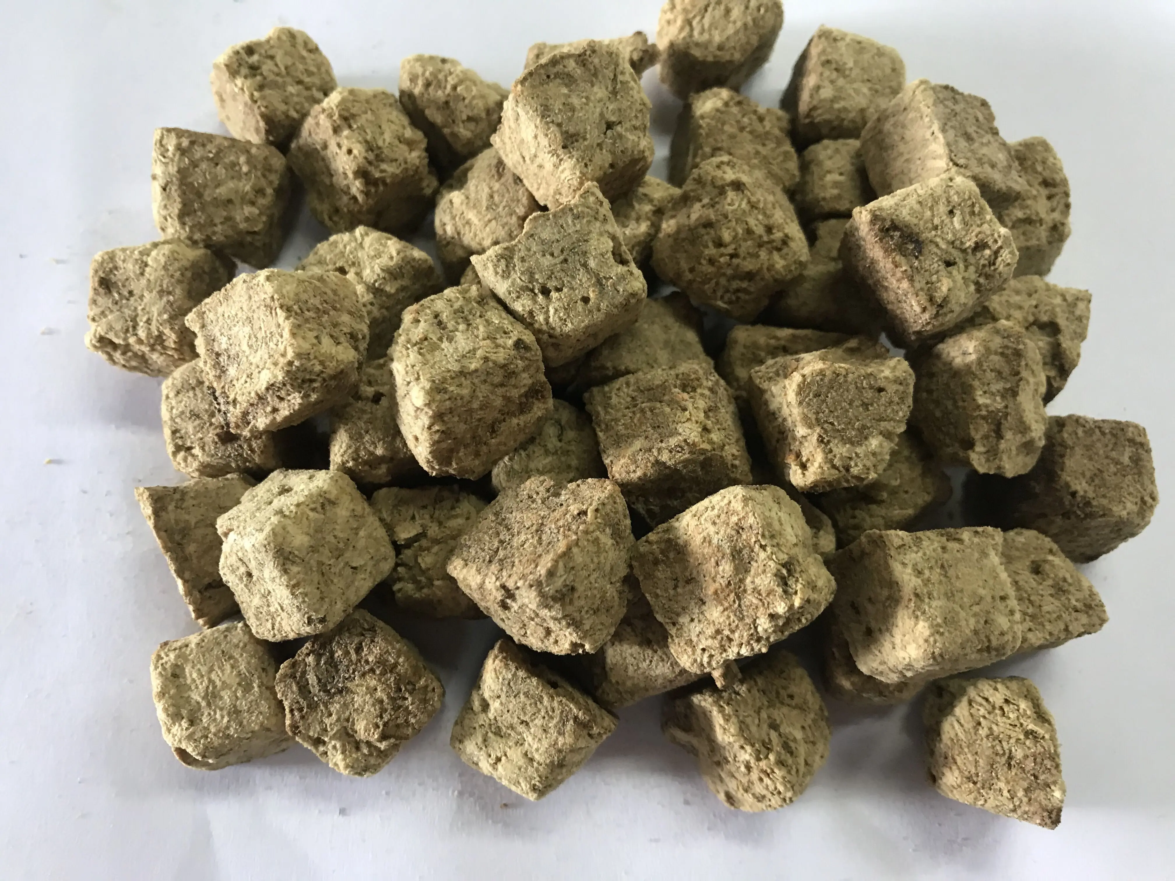 FD Brine shrimp-2.jpg