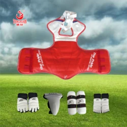 Customized Logo Sports Taekwondo Protective Gear Protectors Martial Arts Equipments