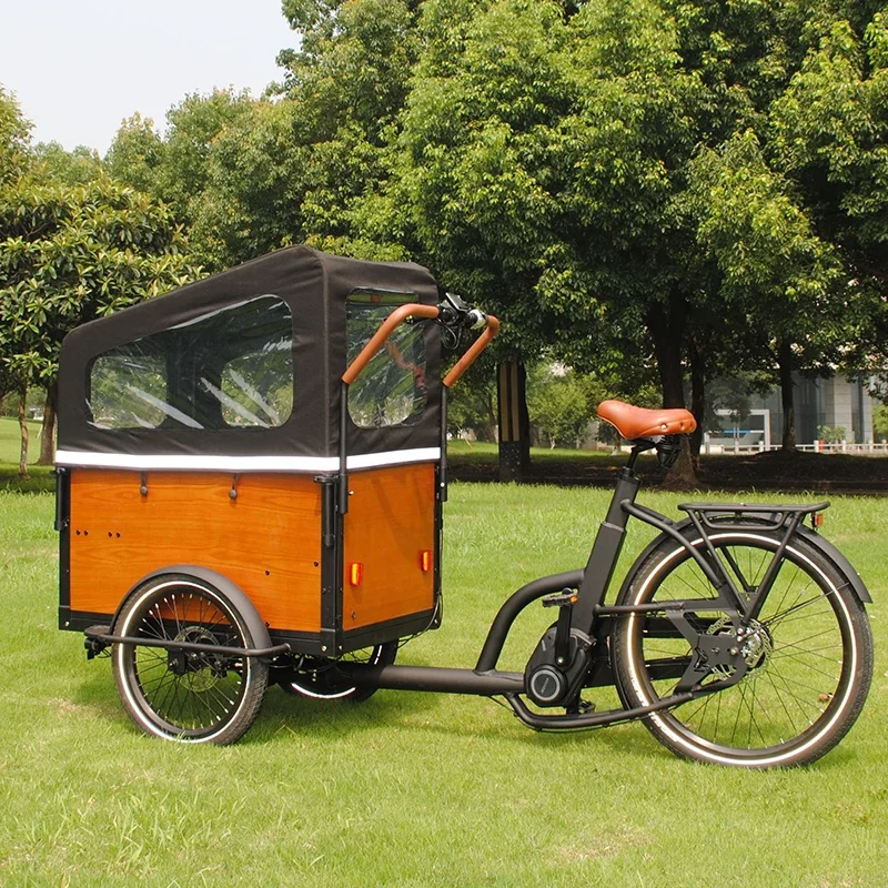 48V 250W 3 Wheel Electric Bicycle Heavy Duty Closed Cabin Delivery Bike Cargo Tricycle For Sale