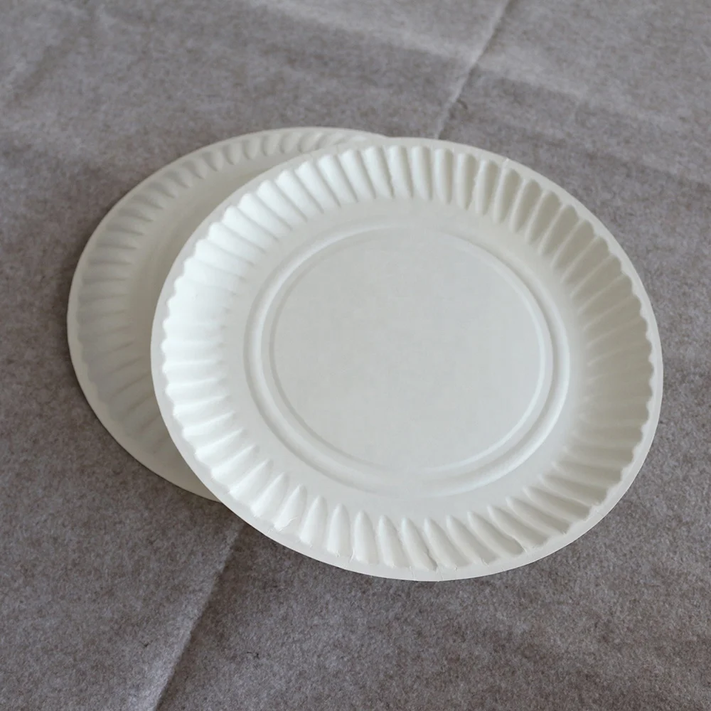 Factory Price 9 Inch White Paper Plates Disposable Eco-friendly Birthday Party Paper Plates