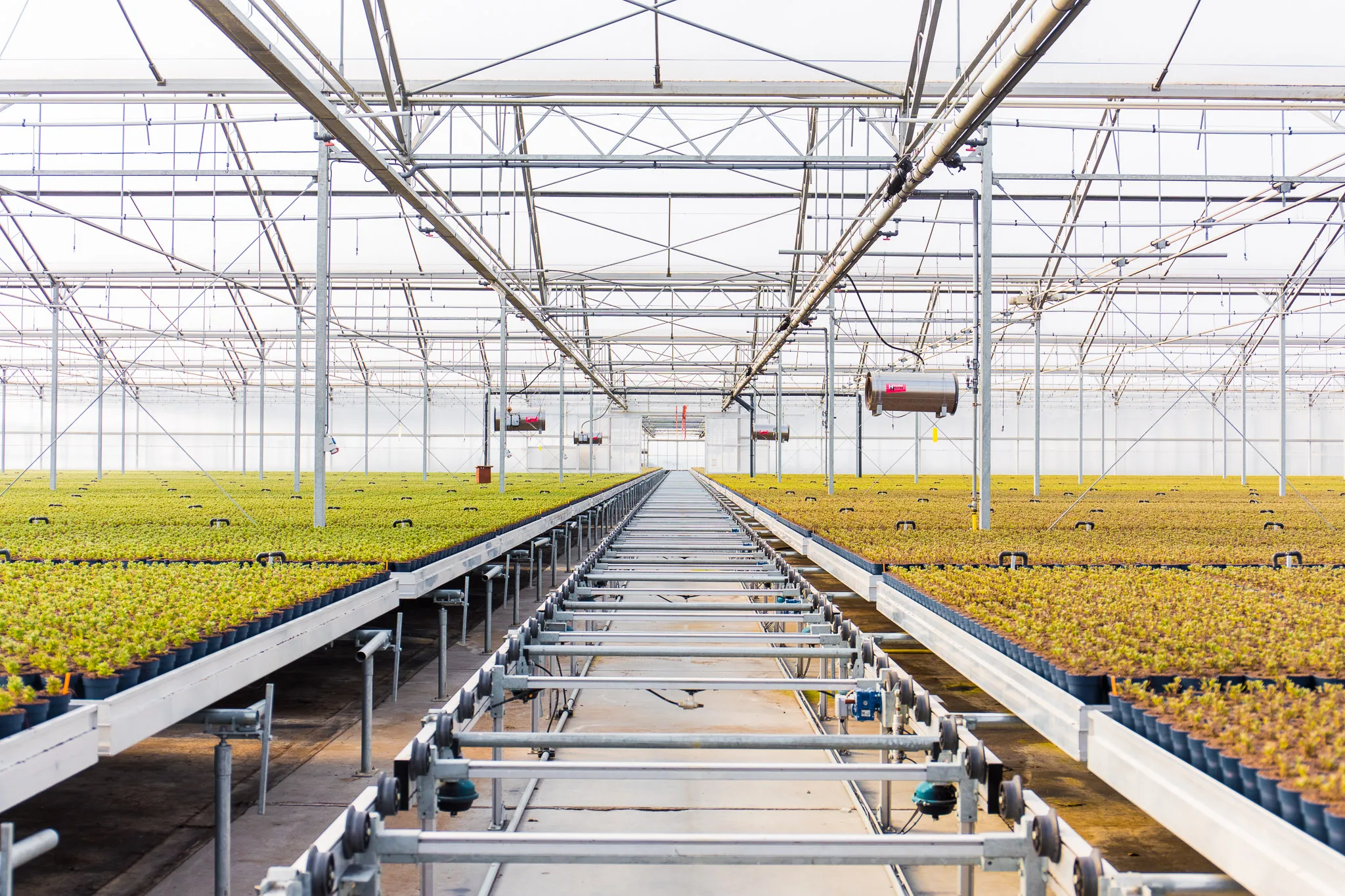 Low-cost plastic greenhouse strawberry cultivation tray seedbed bench for greenhouse