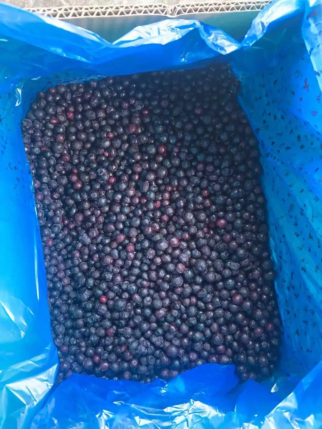 
frozen wild blueberry IQF wild blueberries 