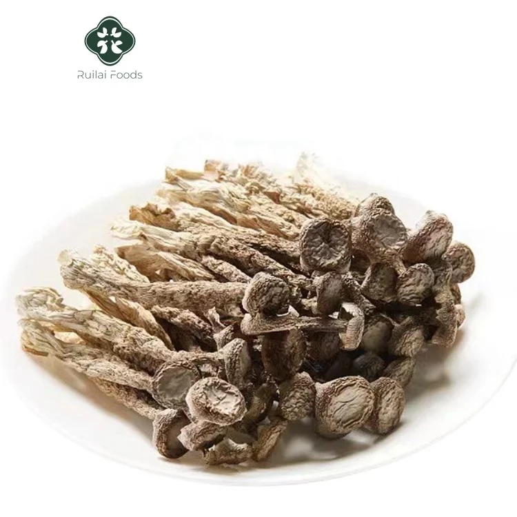 Chinese lu rong gu High Quality Dried Natural Pilose Antler Mushroom healthy Velvet Antler Mushroom