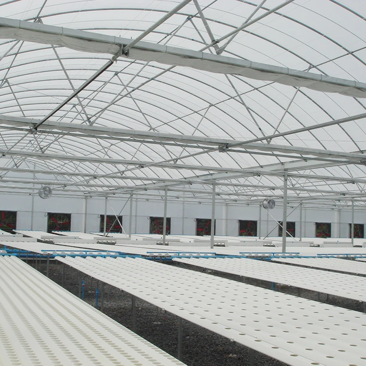 Complete size multi-span agricultural hydroponics greenhouse