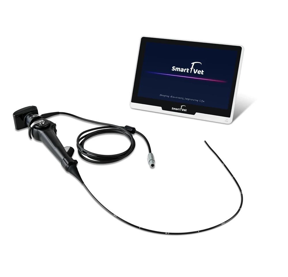 Flexible Portable Medical Grade Handle Reusable Fiber Optic Video Bronchoscope For Veternary Animal Clinic ENT