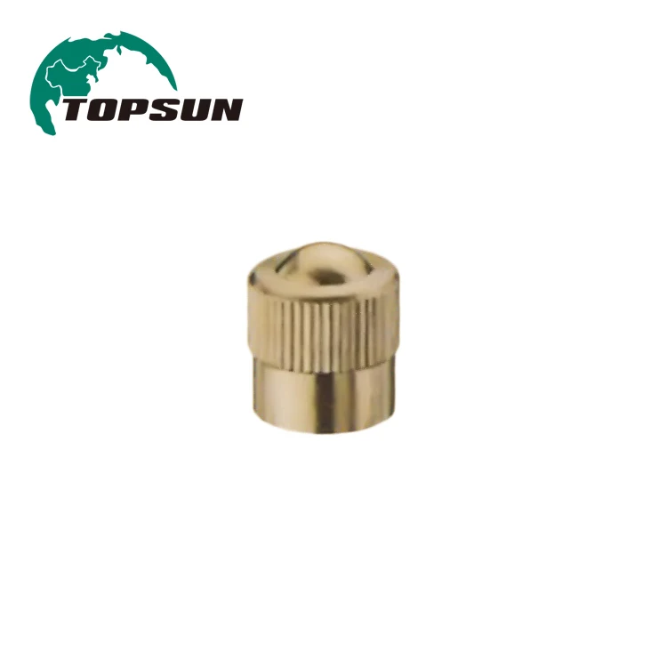  Адаптер Topsun Металлические колпачки колпачок клапана шины CA2