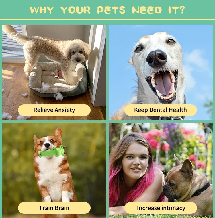 Why your dogs need it.jpg
