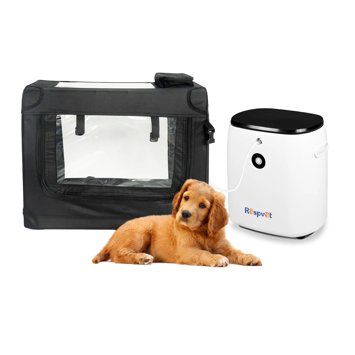 Medical Grade Pet Vet Oxygen Concentrator For Vet Incubator O2 concentrator Factory Oxygenator Machine