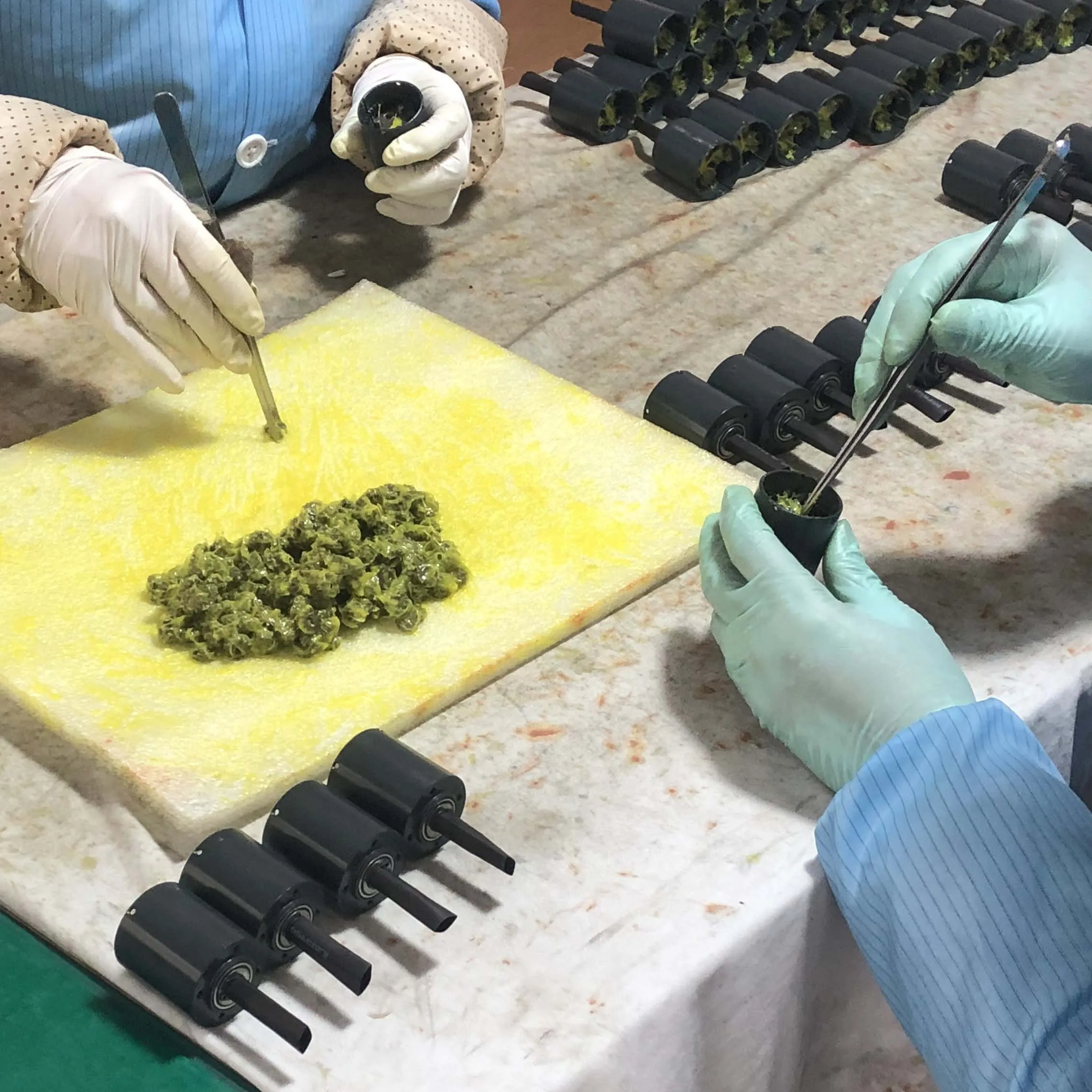 Hetai hot sale 42BYGH208-56AG5 nema 17 42mm hybrid stepper motor customizable small gear motor