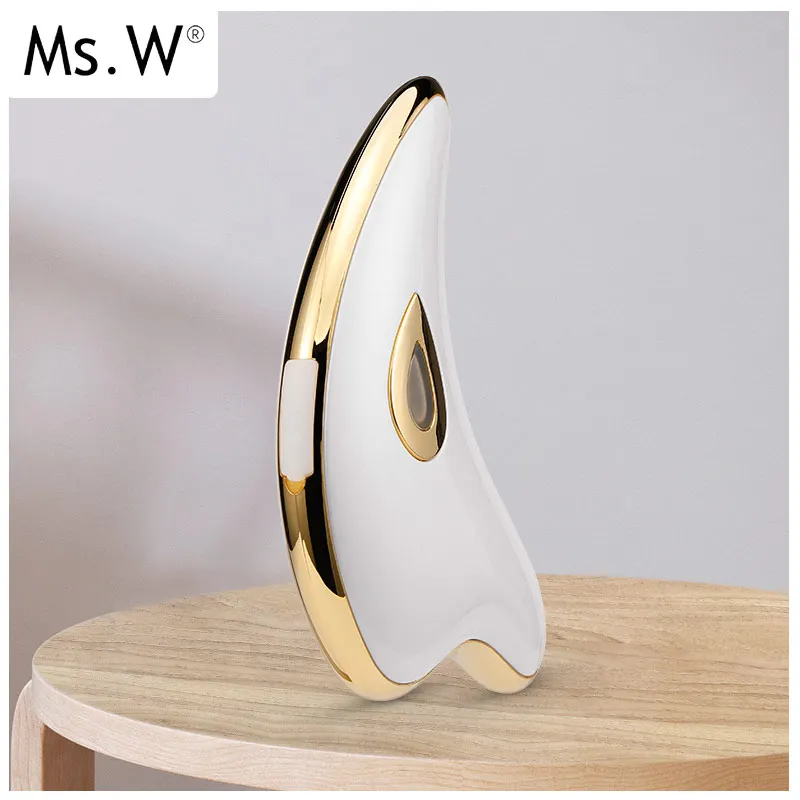 Shenzhen Sist Mini  Beauty Care device Homemade High Frequency microcurrent Skin Tightening Face Massage Device