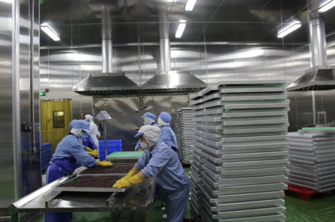 Organic Freeze-Dried Raspberry Snack GMO-Free Whole and diced FD fruits in Powder form preserved with Natural Syrup