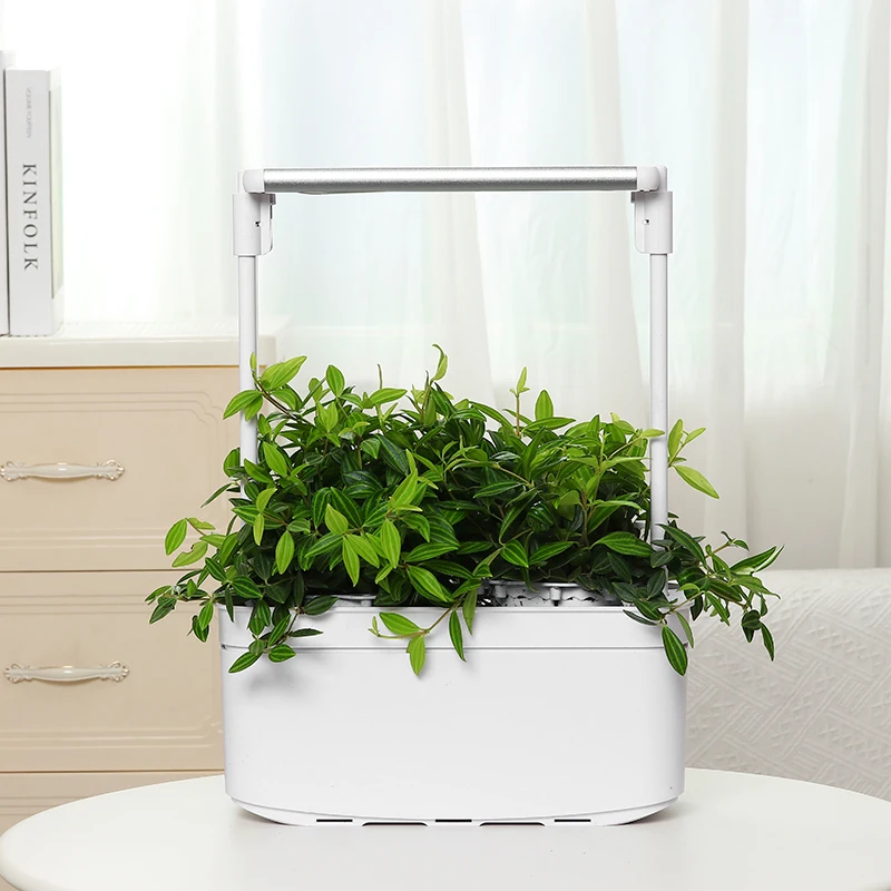 Shenzhen Creative Led light indoor mini smart garden for plants hydroponic smart garden flower planter home garden flower 6 pots